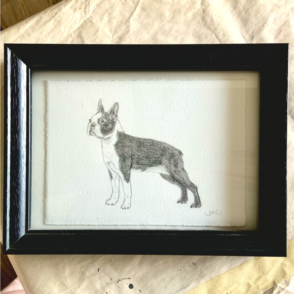 Boston Terrier Original Drawing on Deckle Edged Paper in 5x7 inch Black Frame - Picture 2 of 3